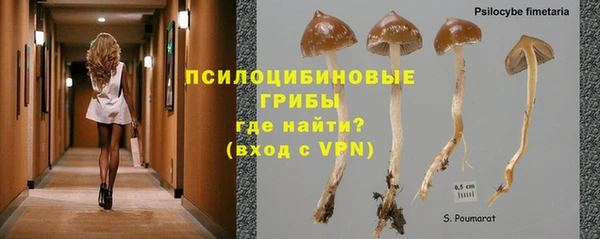 первитин Белоозёрский