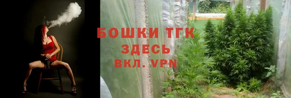 спайс Богданович