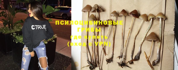 мескалин Белокуриха