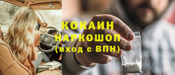 спайс Богданович