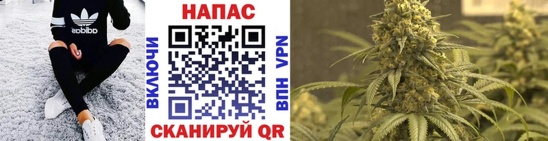 МАРИХУАНА семена  где купить   Плёс 